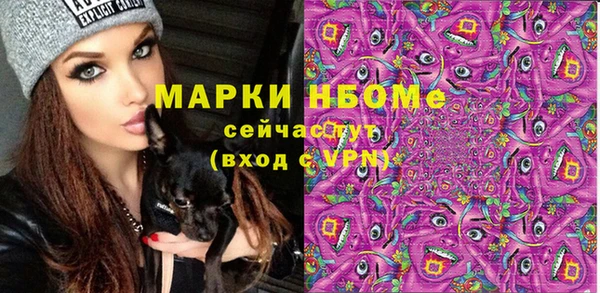 дурь Алексин