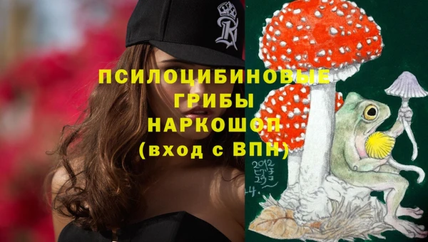 крисы Сосновоборск