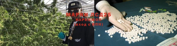 каннабис Алзамай
